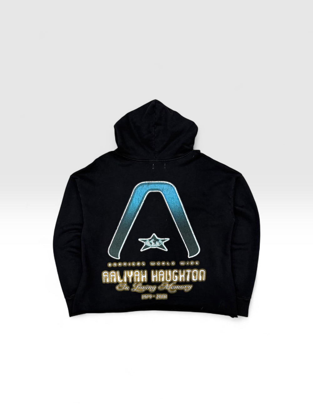 BARRIERS AALIYAH HOODIE