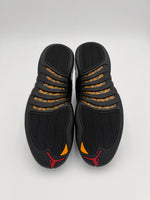 AIR JORDAN 12 RETRO TAXI (2013) NIB