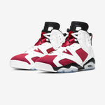 AIR JORDAN 6 RETRO CARMINE NIB