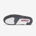 AIR JORDAN 3 RETRO COOL GREY NIB