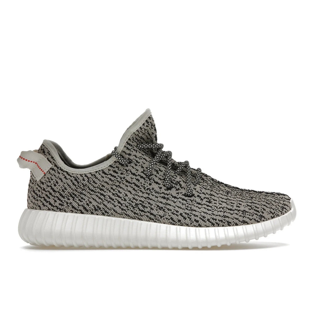 ADIDAS YEEZY BOOST 350 TURTLEDOVE (2022) GS NIB